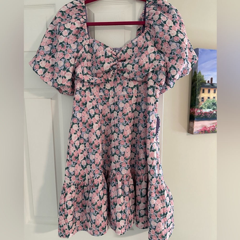 English Factory pink floral mini dress, Size Small